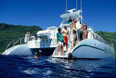 Snorkeling & Dolphin Watch Cruise w/ Luau Style Buffet