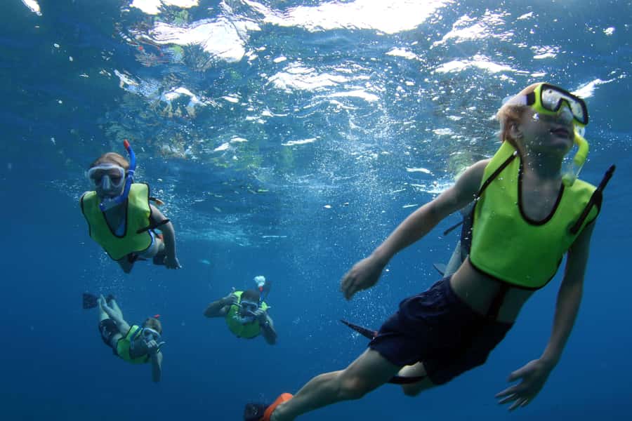 Oahu: Snorkeling & Dolphin Watch Cruise w/ Luau Style Buffet - Is $171 a Fair Price?