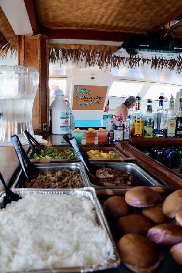 Oahu: Snorkeling & Dolphin Watch Cruise w/ Luau Style Buffet - Who Will Enjoy This Cruise Most?