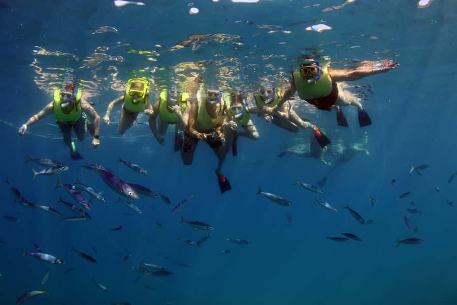 Oahu: Snorkeling & Dolphin Watch Cruise w/ Luau Style Buffet - Booking Flexibility and Private Trips