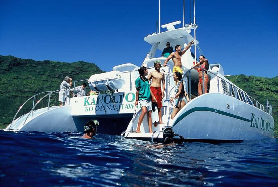 Oahu: Snorkeling & Dolphin Watch Cruise w/ Luau Style Buffet - Snorkeling in Clear Water