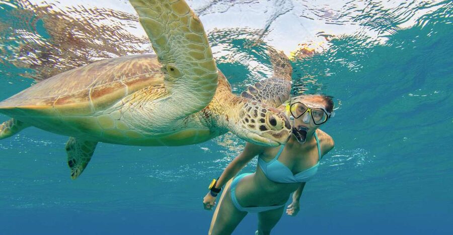 Oahu Snorkeling with Turtles, Water Scooter, Paddleboard - Paddleboarding depends on what is available that day