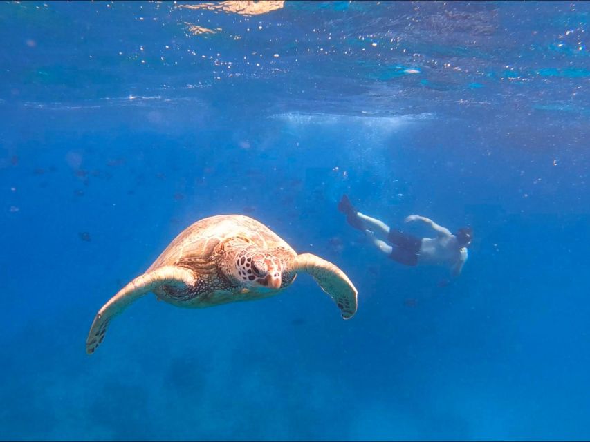 Oahu Snorkeling with Turtles, Water Scooter, Paddleboard - Musubi and cup noodles are a smart finish