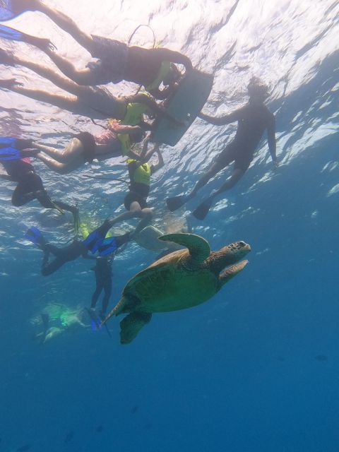Oahu Snorkeling with Turtles, Water Scooter, Paddleboard - Photos are included, but camera plans need a backup