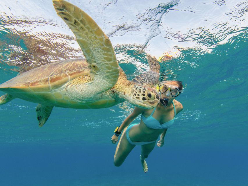 Oahu Snorkeling with Turtles, Water Scooter, Paddleboard - Is $120 a fair price for two hours?