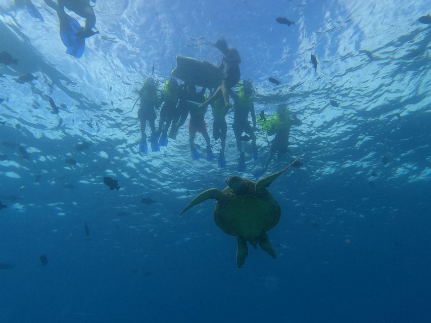 Oahu Snorkeling with Turtles, Water Scooter, Paddleboard - What the catamaran ride adds
