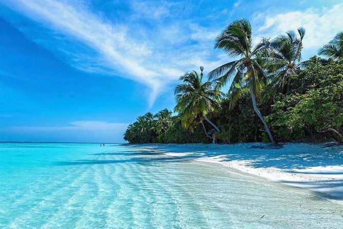Oahu Ultimate Circle Island: 30 Spots, 10 Epic Stops - Diamond Head and the southeastern coast