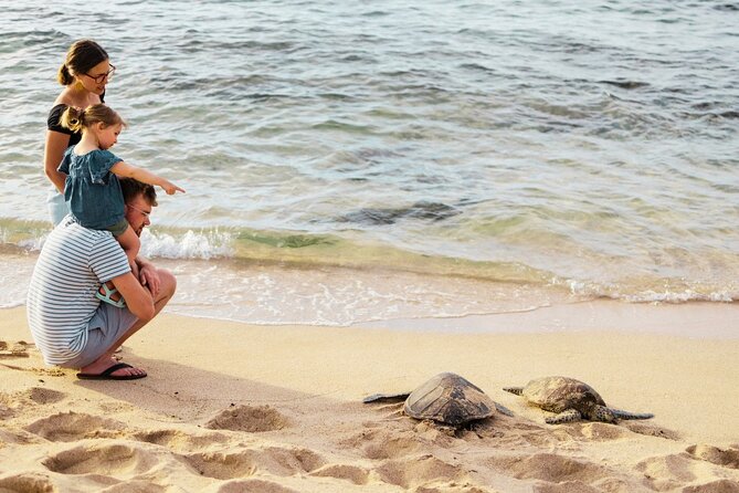 Oahu Ultimate Circle Island: 30 Spots, 10 Epic Stops - Tropical Farms and the macadamia tasting