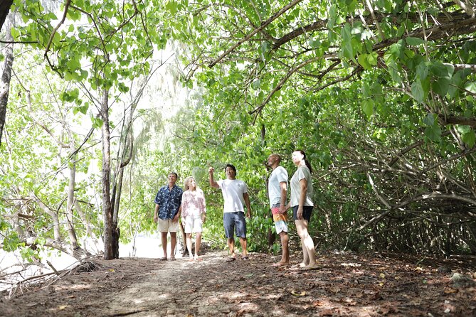 Oahu Uncovered: Full Island Tour with a Local Guide - Diamond Head and the first island views