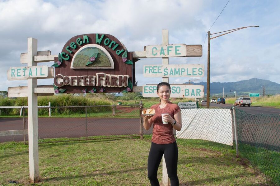 Oahu: Valley of Waimea Falls Swim & Hike with Lunch & Dole - Key points to know before booking