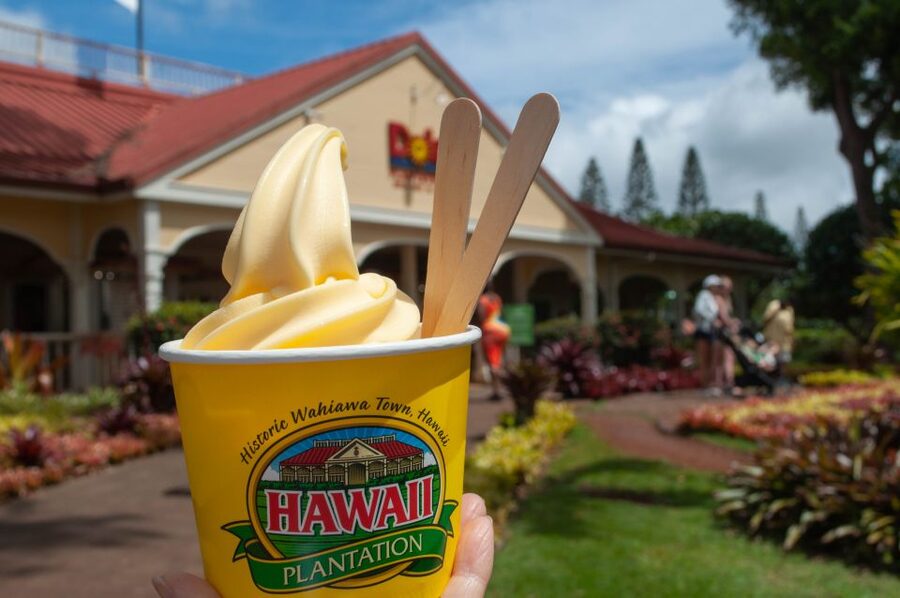 Oahu: Valley of Waimea Falls Swim & Hike with Lunch & Dole - The 1.5-mile Waimea Valley walk