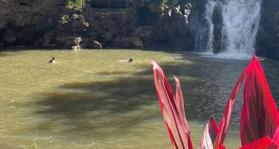 Oahu: Valley of Waimea Falls Swim & Hike with Lunch & Dole - Picnic lunch in the valley