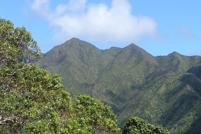 Oahu Volcanic Rainforest Hiking Adventure - The 75-acre rainforest trail