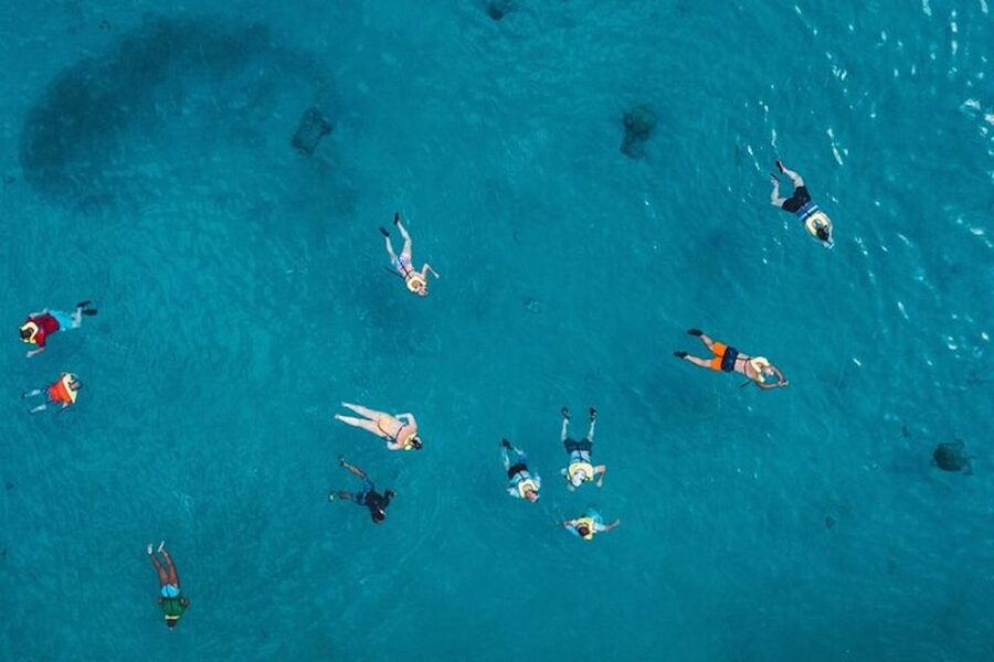 Oahu: Waikiki Turtle Snorkeling Adventure Cruise - Why the turtles make this Waikiki cruise worthwhile