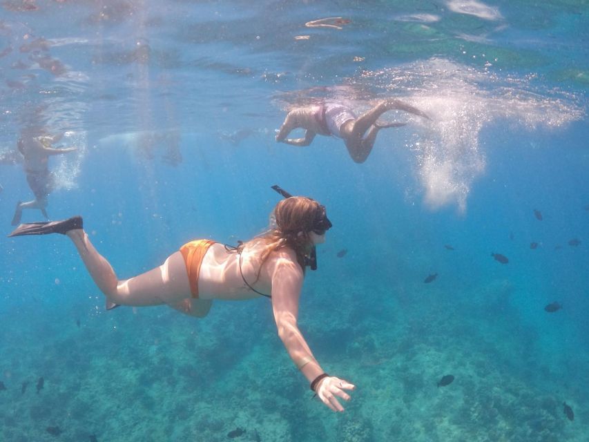 Oahu: Waikiki Turtle Snorkeling Adventure Cruise - What happens from the dock to the water