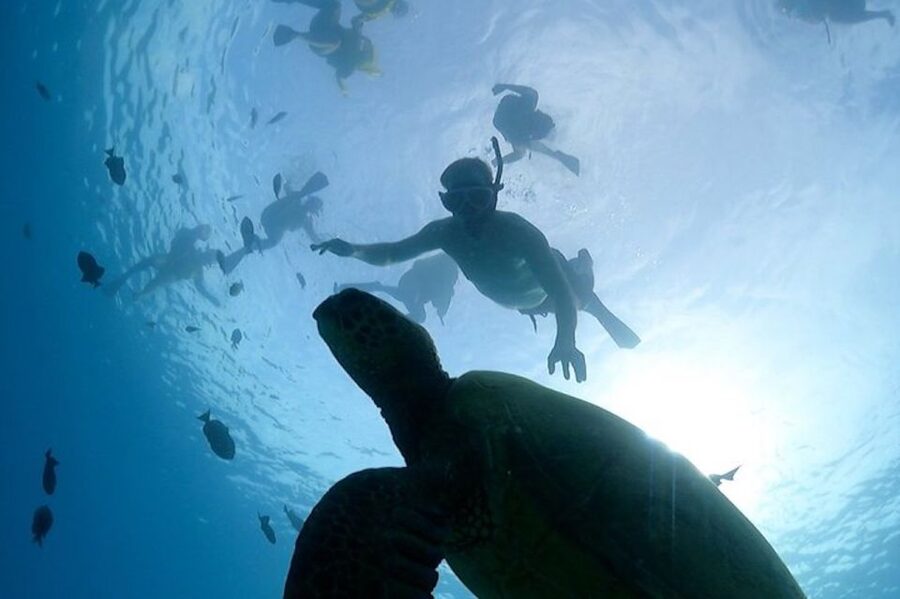 Oahu: Waikiki Turtle Snorkeling Adventure Cruise - The crew makes a real difference