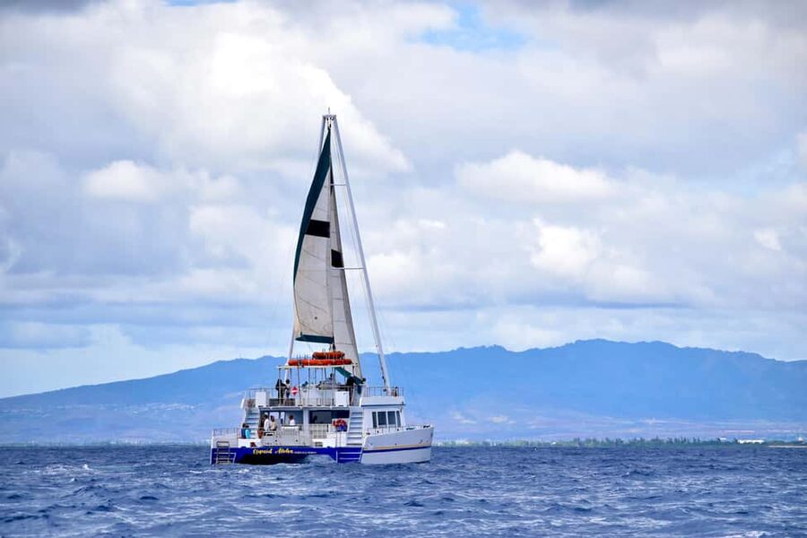 Oahu: Waikiki Whale Watching Cruise - What the Two-Hour Cruise Is Really Like