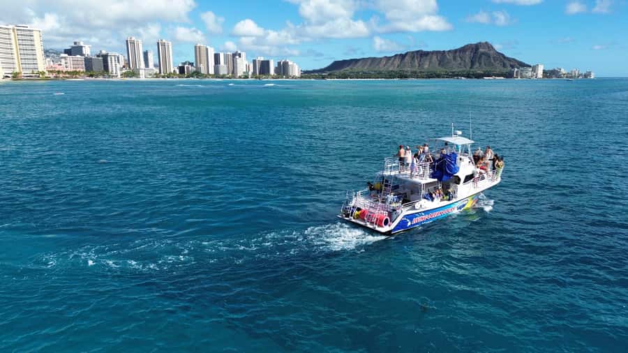 Oahu: Whale Watching Cruise Whales Guaranteed - Why this 90-minute cruise works well in Honolulu