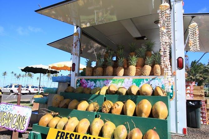 One-Day Tour Hawaii Movie Tour: Island Hopping from Oahu to Kauai - Opaekaa Falls and a long list of screen stories