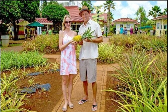 Pearl Harbor, Dole Plantation, and Polynesian Center from Kauai - Key points to know before booking
