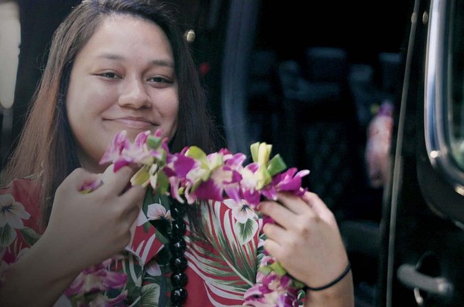Private Arrival Transfer: Honolulu International Airport to Oahu Hotels or Cruise Terminal - Booking details that can prevent trouble