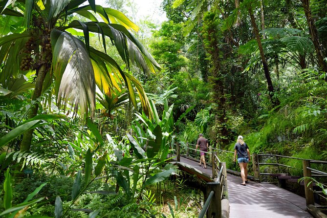 Private Circle Island Off-the-Beaten- Oahu Tour - Farm produce brings the island closer