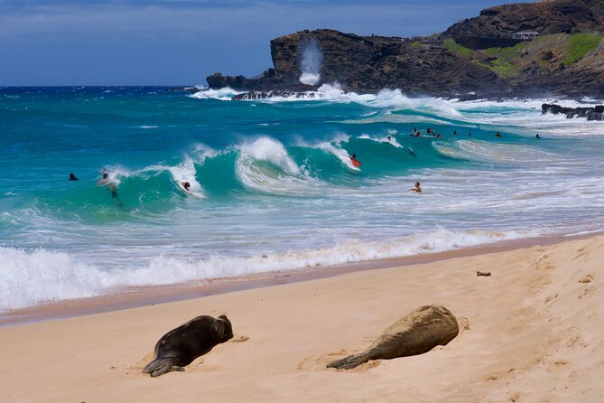 Private Circle Island Tour-Oahu-Customizable - Why a private Oahu circle tour can work so well