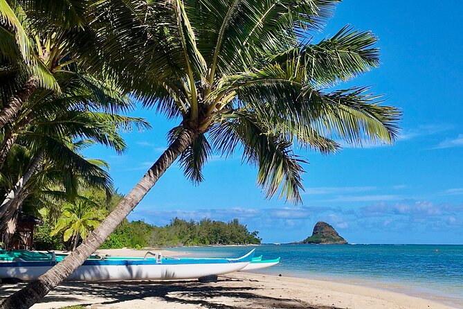 Private Circle Island Tour-Oahu-Customizable - Hanauma Bay, Halona Blowhole, and Sandy Beach