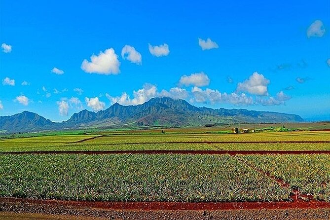 Private Customizable Oahu Grand Circle Island Tour from Waikiki - Blowholes, cliffs, and powerful surf on the southeast shore