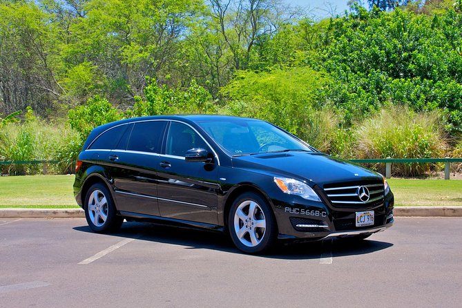 Private Departure Transfer: Oahu Hotels or Honolulu Cruise Terminal to Honolulu International Airport - A quiet, private finish to your Oahu stay