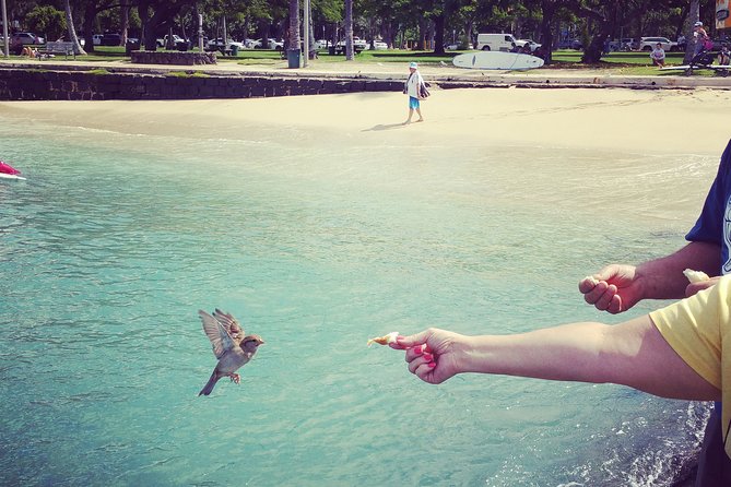 Private Dole,Garlic Shrimp,Haleiwa,North Shore Customizable tour - Timing, pickup, and practical limits