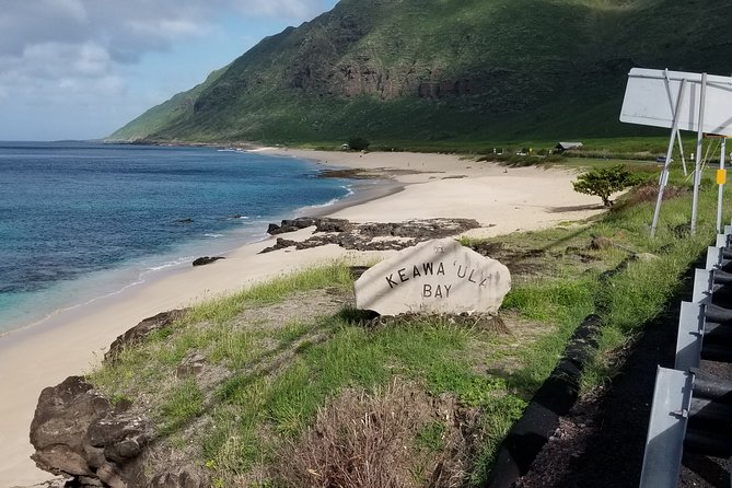 Private Dole,Garlic Shrimp,Haleiwa,North Shore Customizable tour - Should you book this Oahu private tour?