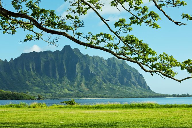 Private Green and Blue Circle Island Oahu Tour (se habla espanol) - Dole Plantation offers a short pineapple stop