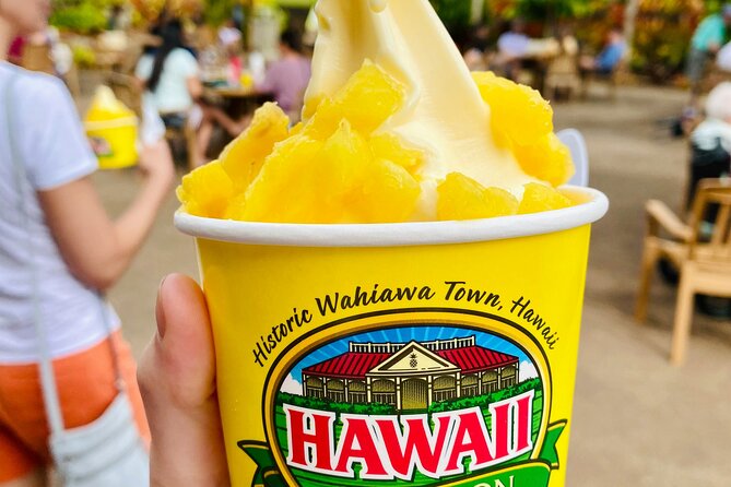 Private Half-Day Circle Island Highlights Tour in Oahu - Key points to know before booking