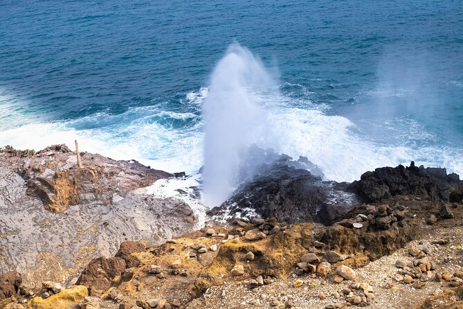 Private Half-Day Circle Island Highlights Tour in Oahu - What the price really buys you