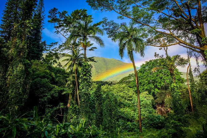 Private Oahu Van Tour - Halona Blowhole and Oahu’s southeast coast