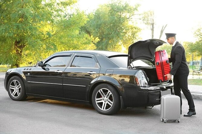 Private One-way Airport Transfer Honolulu Airport To Honolulu - Child seats and special requests