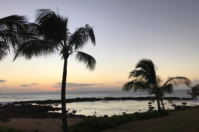 Private Pearl Harbor & North Shore tour (Se habla Español) - A full Oahu day with Pearl Harbor at the center