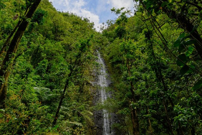 PRIVATE TOUR-Hike Diamond Head & Hawaiian Waterfall - The beach breakfast stop between hikes