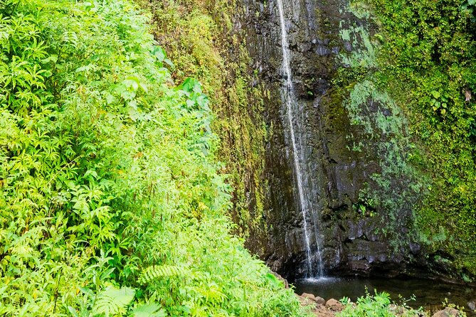 PRIVATE TOUR-Hike Diamond Head & Hawaiian Waterfall - Fitness, clothing, and practical preparation