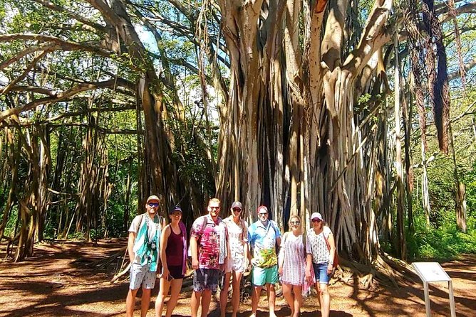 Private Tour Oahu Circle Island - Fully Personalized Experience - Who will get the most from this tour