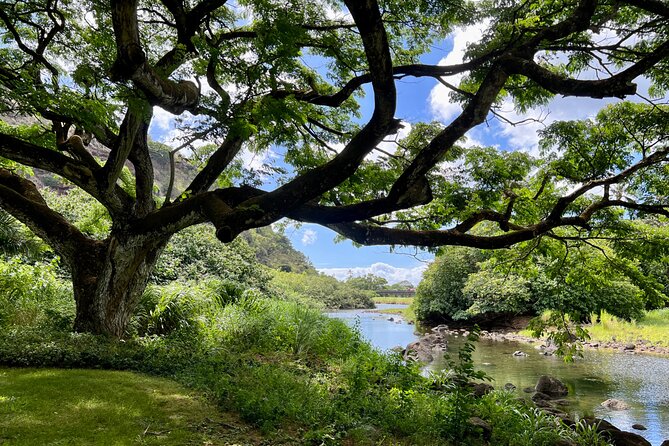Private Tour Oahu including Waimea Waterfall-Customizable - Why Waimea Falls works so well as the centerpiece