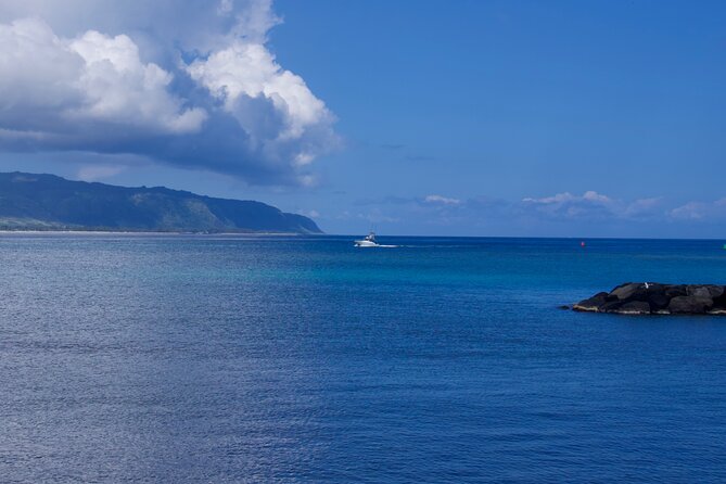 Private Tour Oahu including Waimea Waterfall-Customizable - Should you add Dole Plantation?