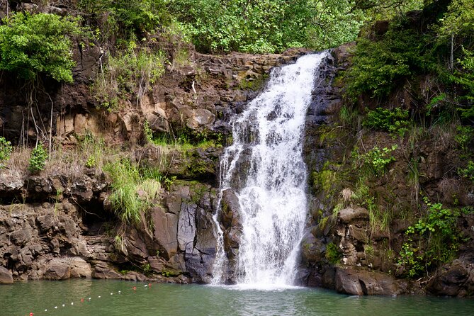 Private Tour Oahu including Waimea Waterfall-Customizable - Haleiwa, turtles, and the North Shore drive