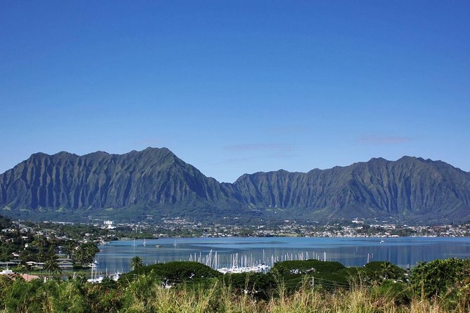 Private Tour of Oahu for 6 to 11 people - up to 8 hours - North Shore beaches, wildlife, and swimming