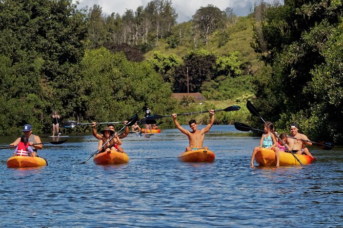PRIVATE TOUR-Ultimate North Shore Experience - Haleiwa adds water time and a land option