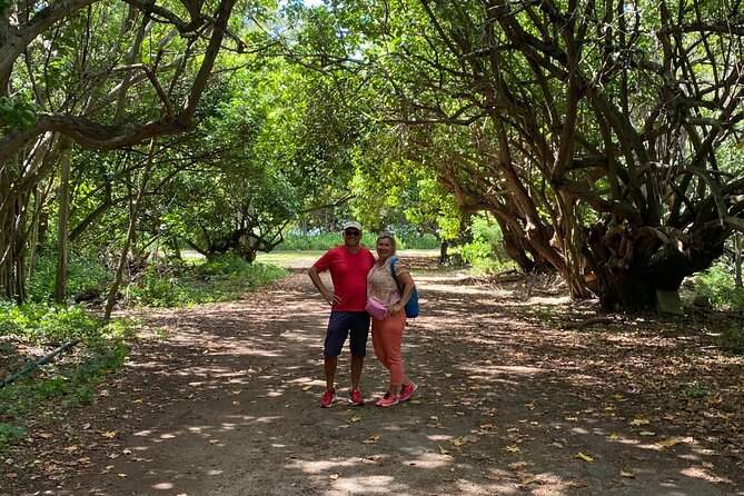 PRIVATE TOUR-Ultimate North Shore Experience - Turtle Bay Beach is the day’s marine highlight