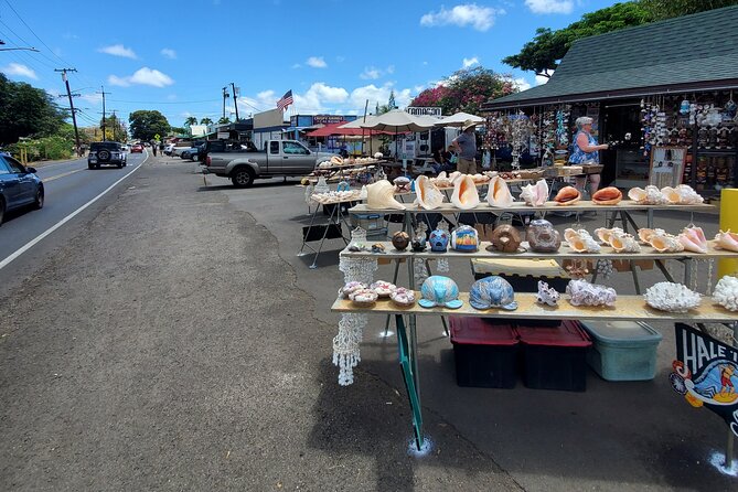 Round Trip North Shore Shuttle from Waikiki to Haleiwa Town / Haleiwa Harbor - Waimea Valley, Shark’s Cove, Pipeline, and Sunset Beach