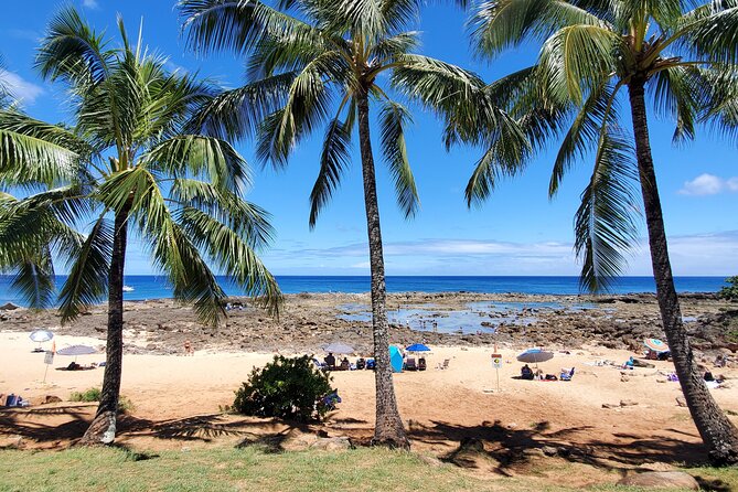 Round Trip North Shore Shuttle from Waikiki to Haleiwa Town / Haleiwa Harbor - What the driver adds to the ride