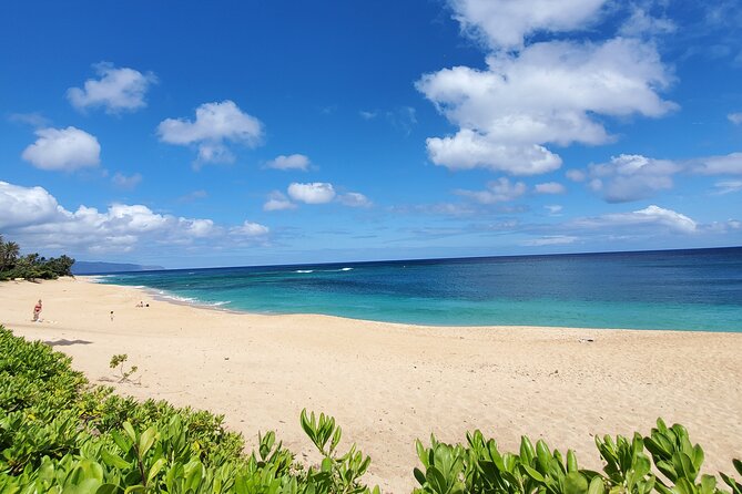 Round Trip North Shore Shuttle from Waikiki to Haleiwa Town / Haleiwa Harbor - Value for visitors staying in Waikiki